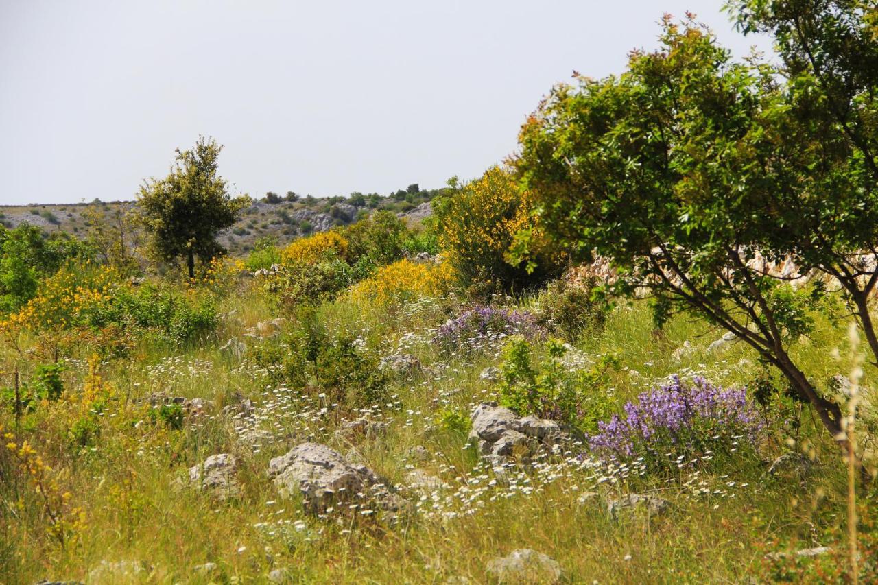 Villa Zlatno Sunce In The Hills Near Trogir Vrsine Extérieur photo