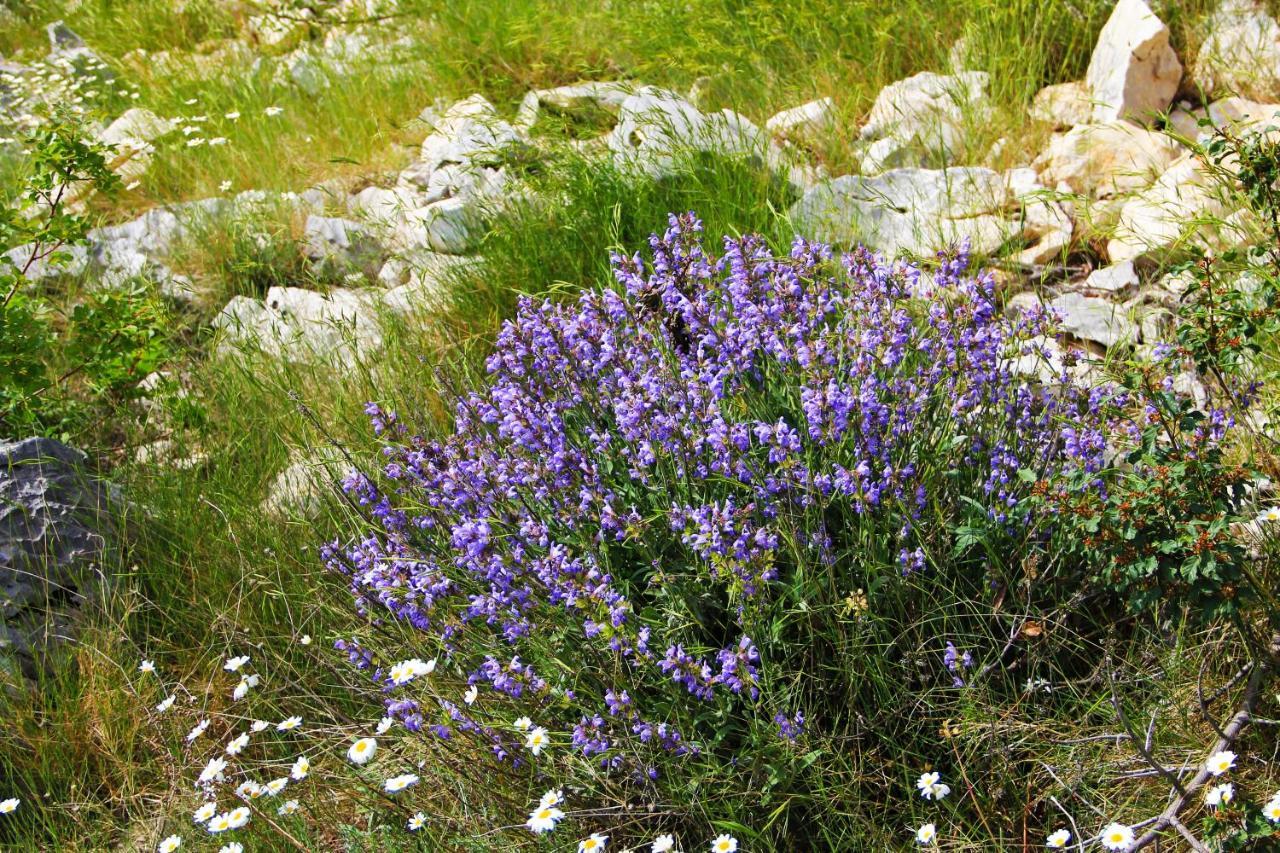 Villa Zlatno Sunce In The Hills Near Trogir Vrsine Extérieur photo