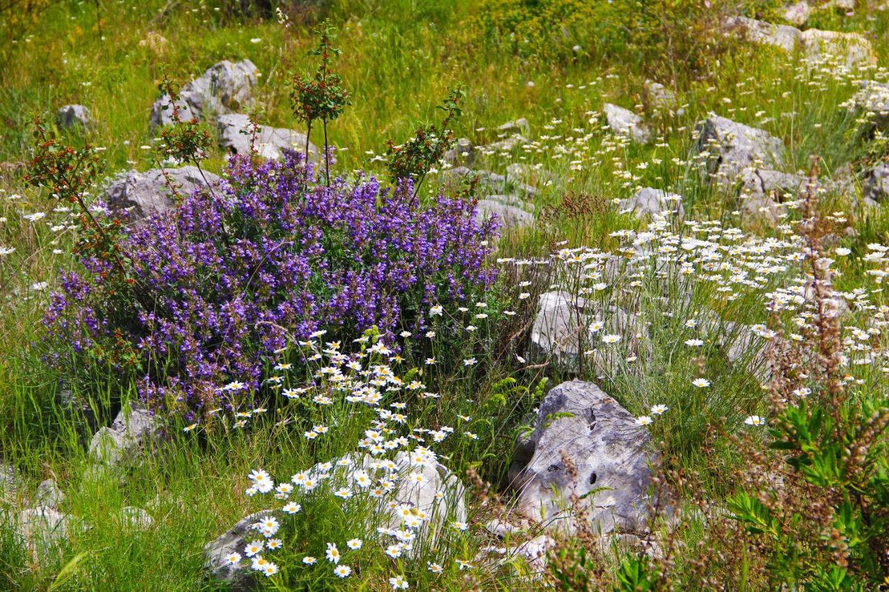 Villa Zlatno Sunce In The Hills Near Trogir Vrsine Extérieur photo