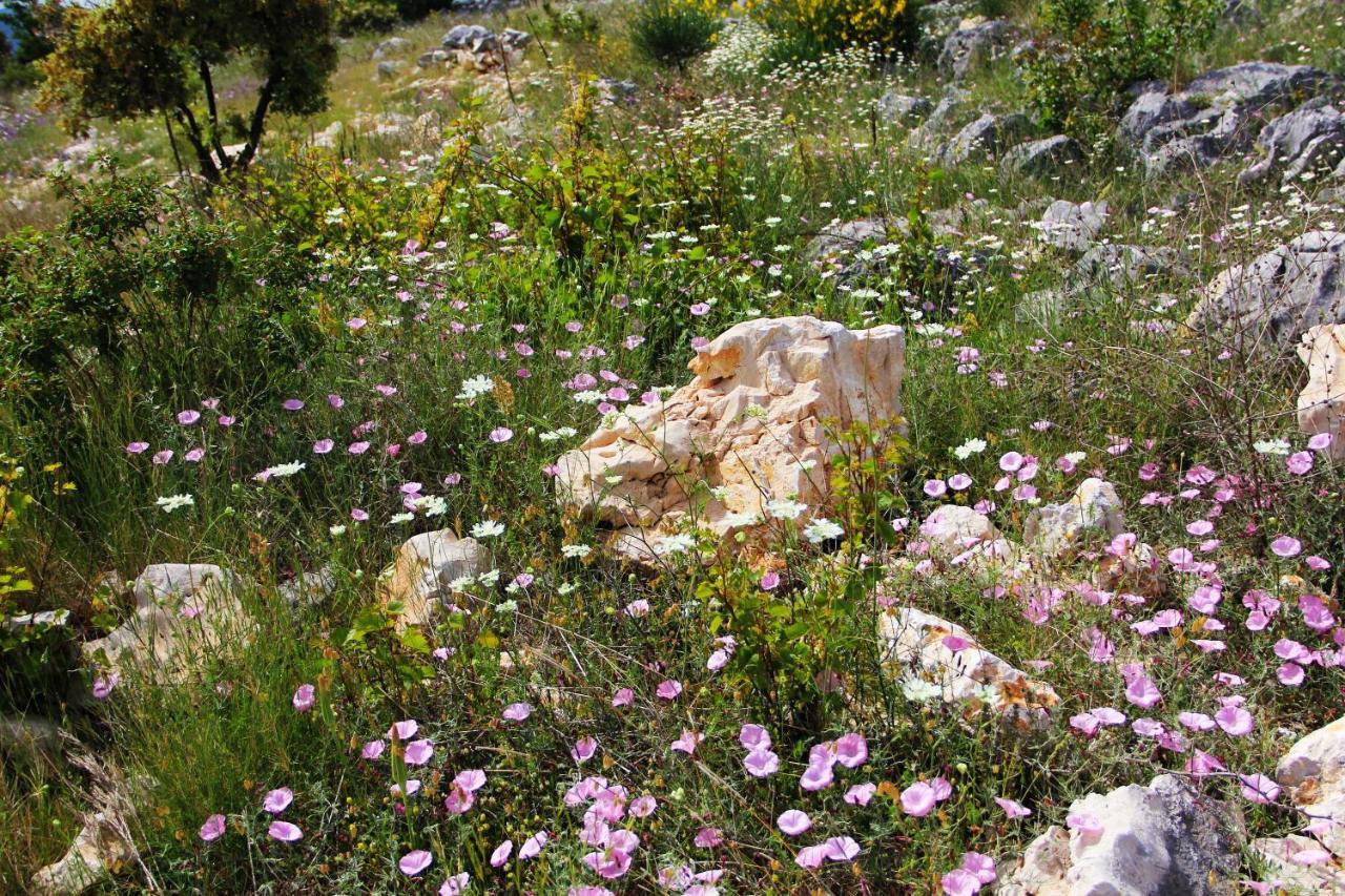 Villa Zlatno Sunce In The Hills Near Trogir Vrsine Extérieur photo